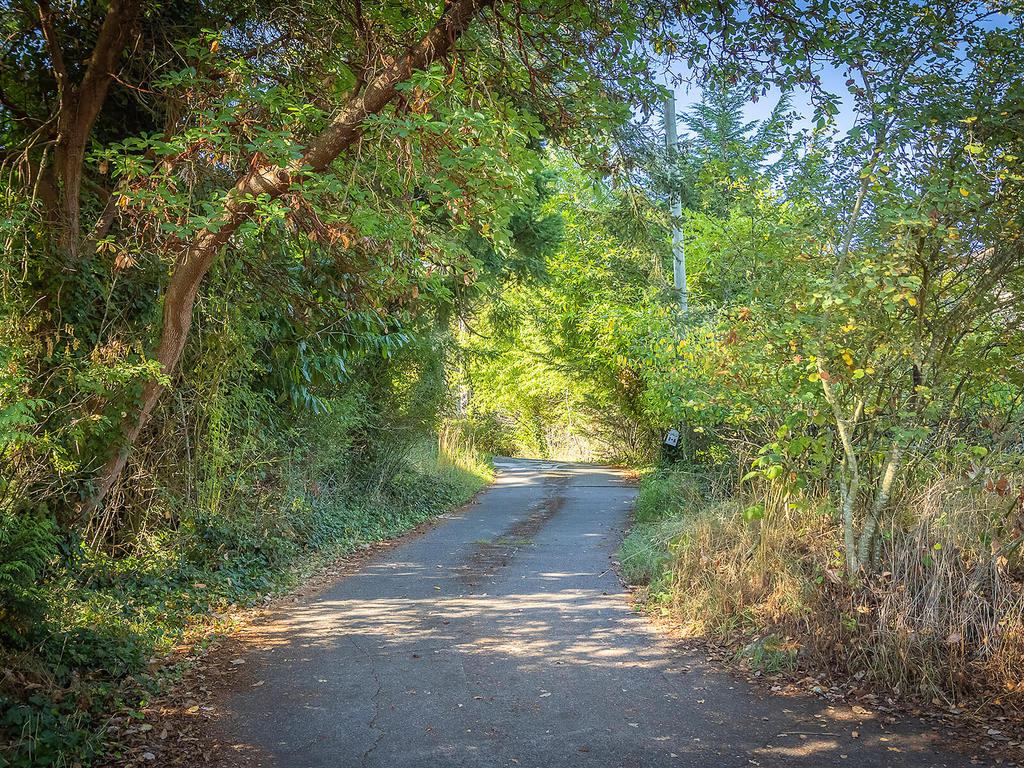 Ten Mile Point • Marc OwenFlood • Personal Real Estate Corporation