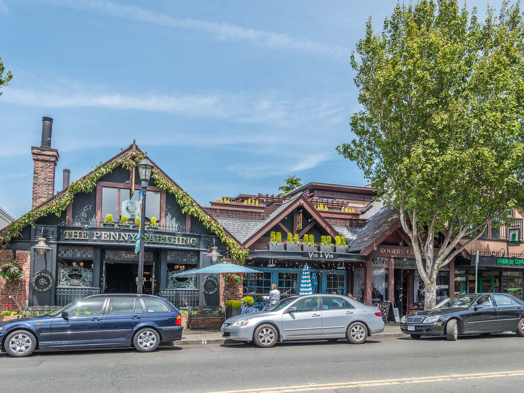 Oak Bay Village 